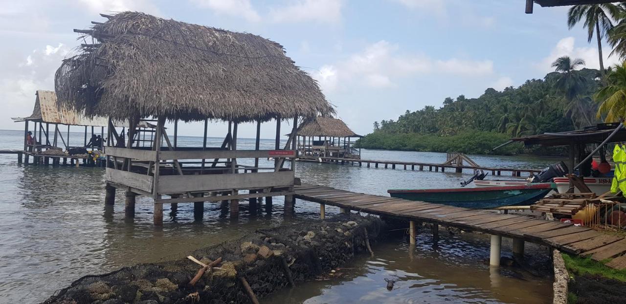 Rainforest Lodge Del Rio ปอร์โตเบโล ภายนอก รูปภาพ