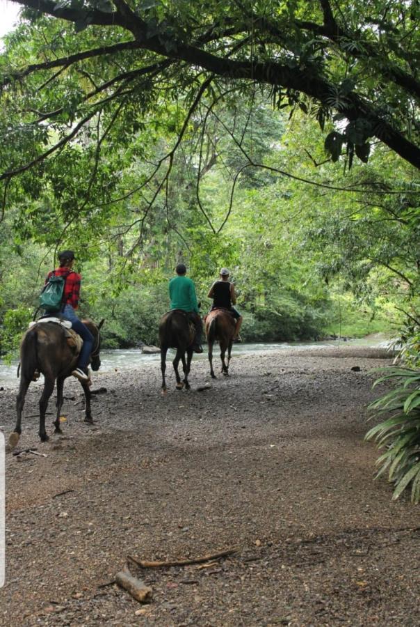 Rainforest Lodge Del Rio ปอร์โตเบโล ภายนอก รูปภาพ