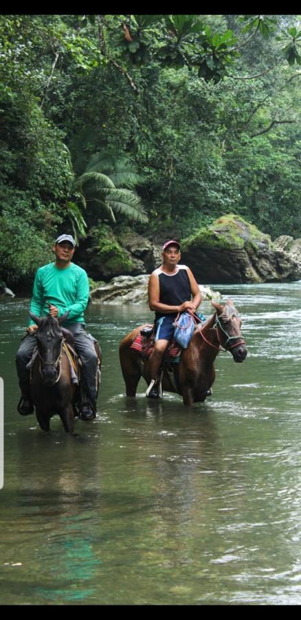 Rainforest Lodge Del Rio ปอร์โตเบโล ภายนอก รูปภาพ