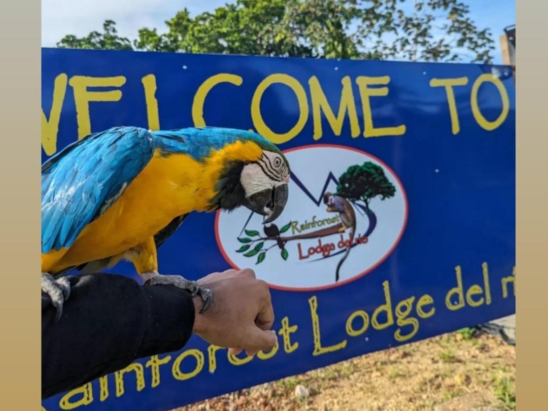 Rainforest Lodge Del Rio ปอร์โตเบโล ภายนอก รูปภาพ