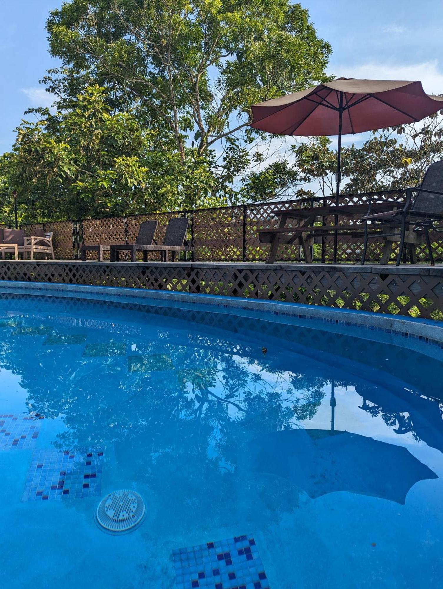 Rainforest Lodge Del Rio ปอร์โตเบโล ภายนอก รูปภาพ