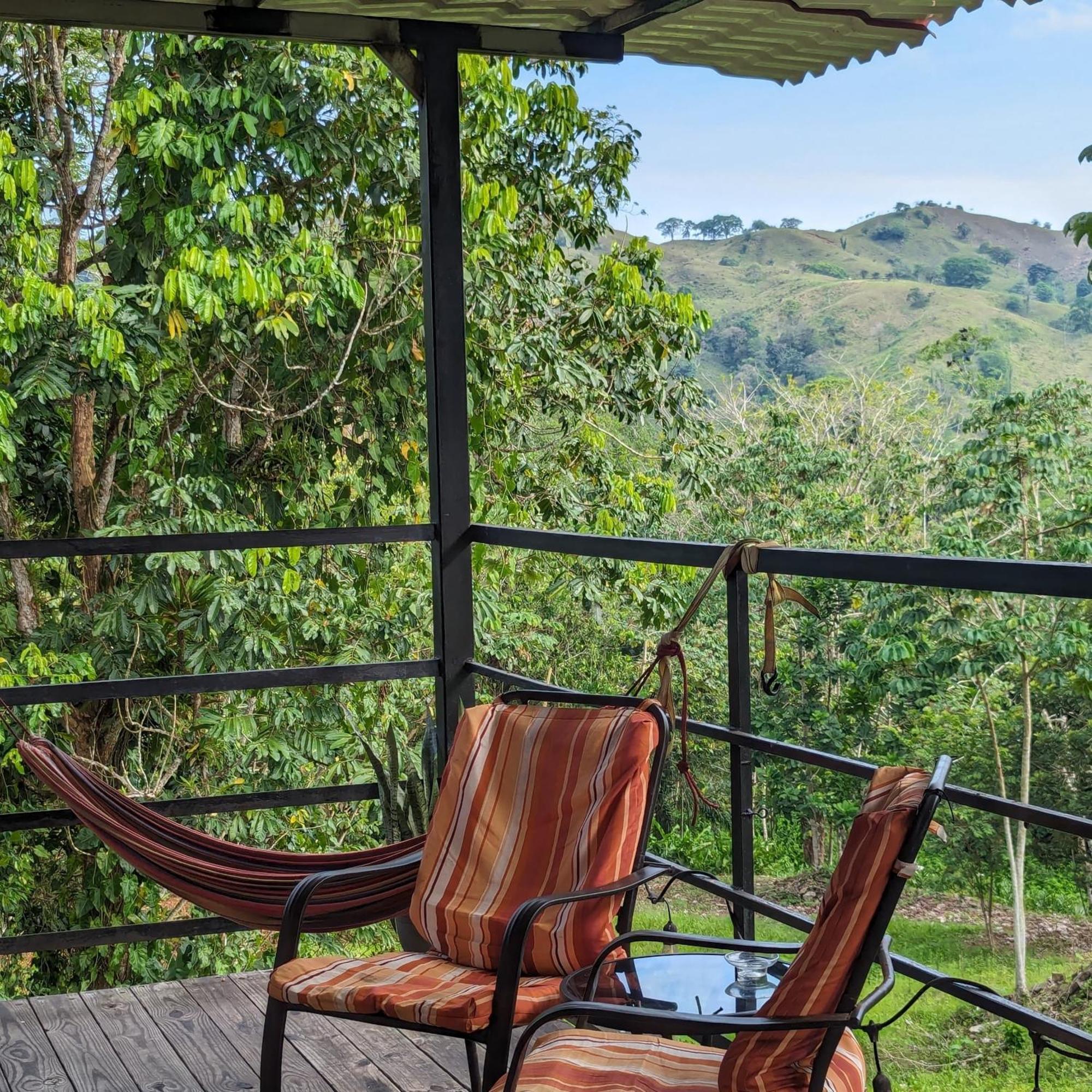Rainforest Lodge Del Rio ปอร์โตเบโล ภายนอก รูปภาพ